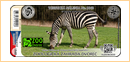 No. 1848 - Zoopark Dvorec u Borovan - zebra